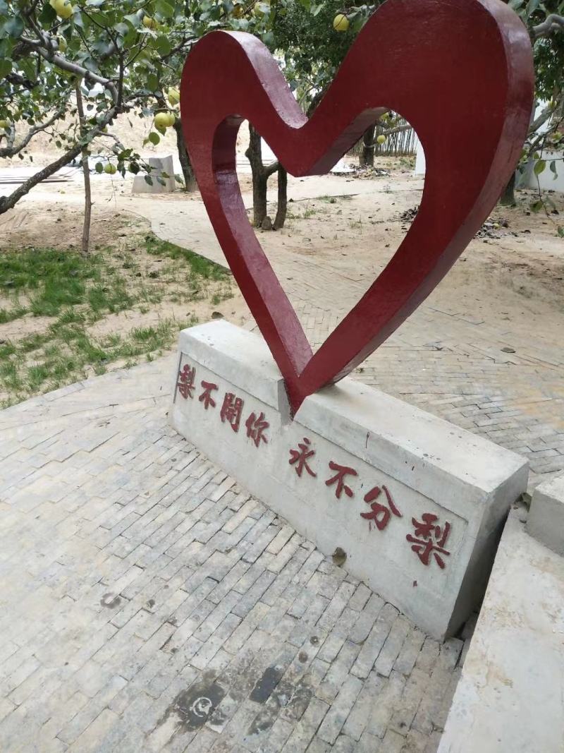 宁陵金顶谢花酥梨，皮薄多汁甜度高无渣，一件包邮，坏果包赔