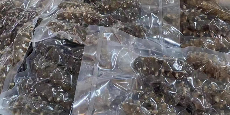 大连海参纯淡干即食大量长年供应年货送礼复购率高。