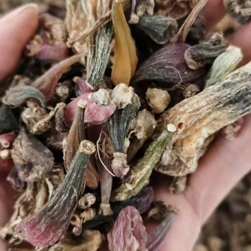 云南十万大山冰球子干货