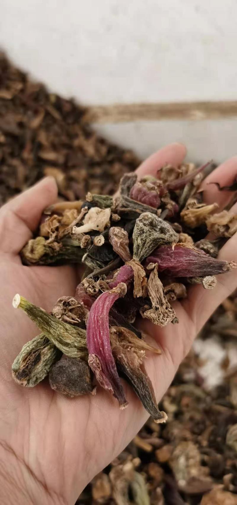 云南十万大山冰球子干货