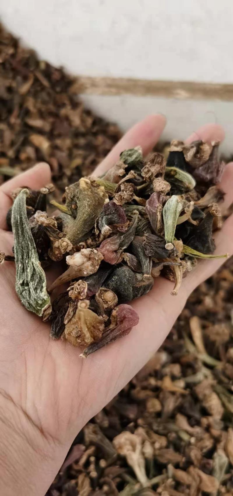 云南十万大山冰球子干货