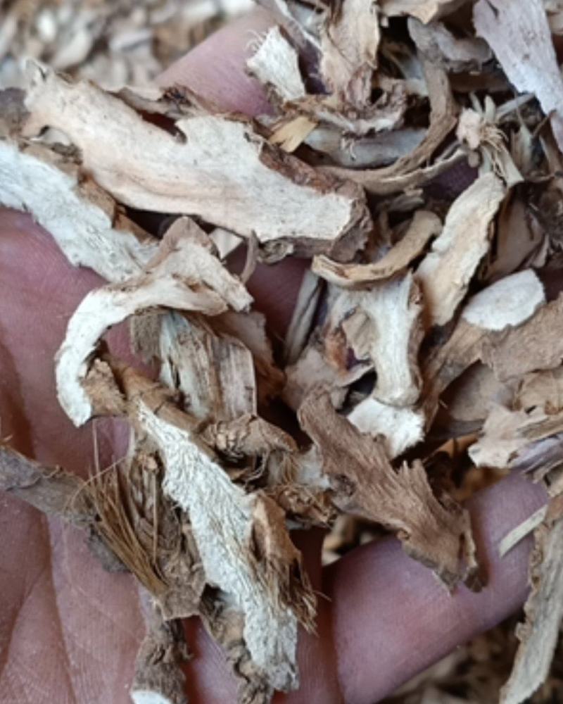 云南野生中药材石菖蒲石昌蒲正品石菖蒲非水菖蒲500