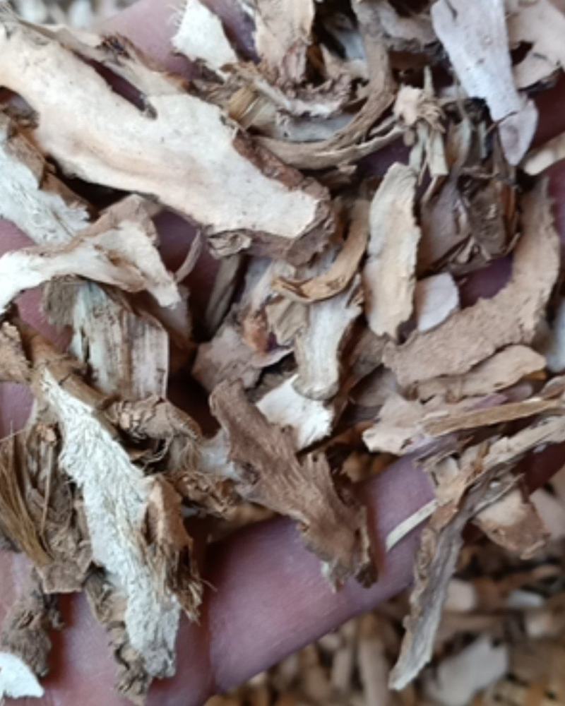 云南野生中药材石菖蒲石昌蒲正品石菖蒲非水菖蒲500