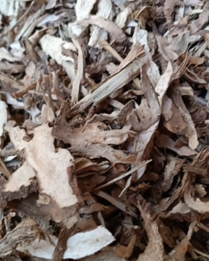 云南野生中药材石菖蒲石昌蒲正品石菖蒲非水菖蒲500