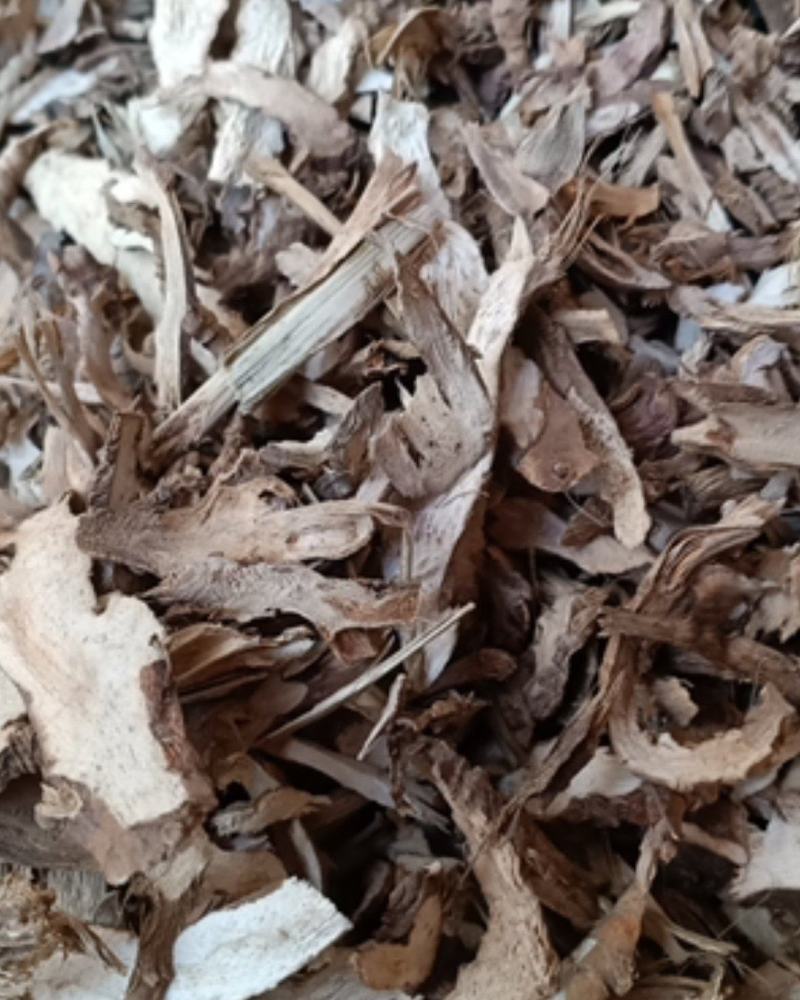 云南野生中药材石菖蒲石昌蒲正品石菖蒲非水菖蒲500
