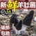 四川羊肚菌鲜货500g一件代发顺丰空运新鲜羊肚菌不包邮