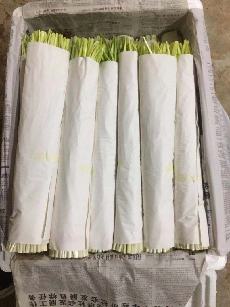 山东精品蒜黄，产地直销。量大从优。欢迎各位老板洽谈合作。