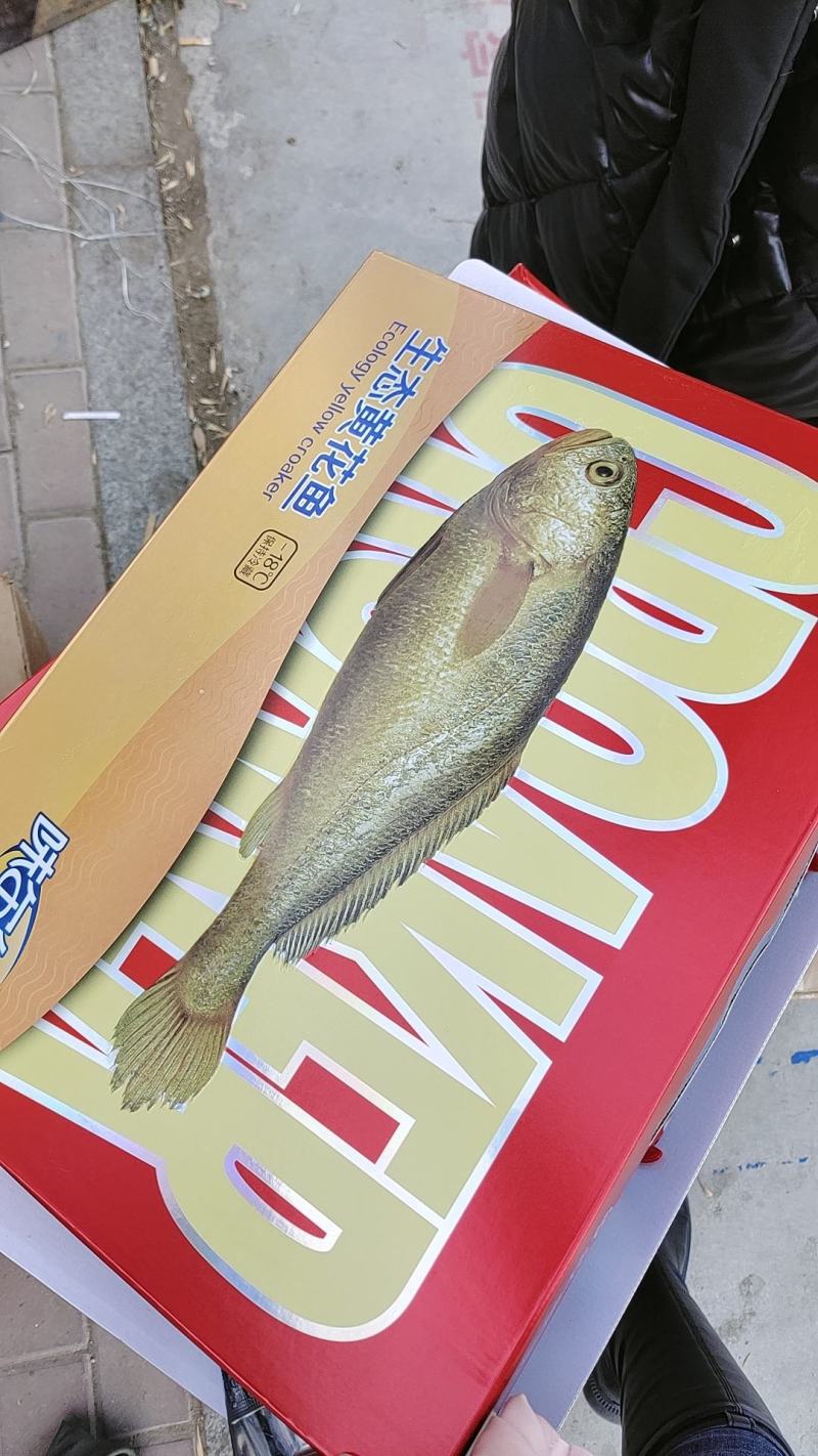黄花鱼，4条，16条，18条，真空包装好的！质量很好！