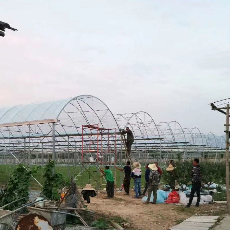 全套温室大棚钢管骨架家用种植蔬菜大棚配件养猪椭圆管养殖大