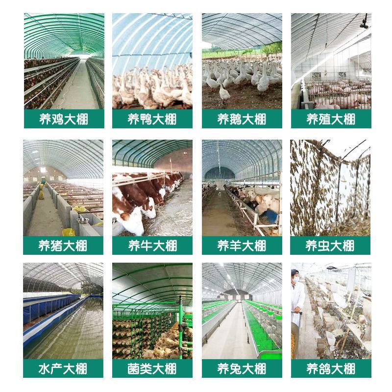 全套温室大棚钢管骨架家用种植蔬菜大棚配件养猪椭圆管养殖大