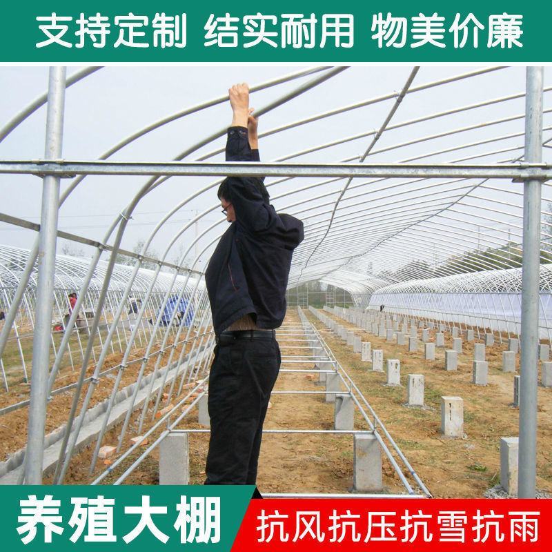 全套温室大棚钢管骨架家用种植蔬菜大棚配件养猪椭圆管养殖大
