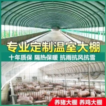 全套温室大棚钢管骨架家用种植蔬菜大棚配件养猪椭圆管养殖大