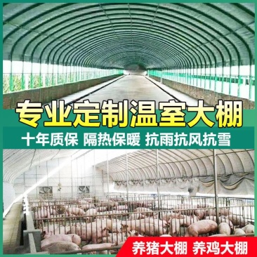 全套温室大棚钢管骨架家用种植蔬菜大棚配件养猪椭圆管养殖大