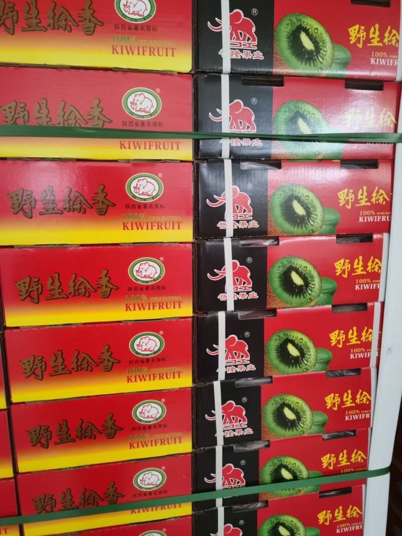 徐香猕猴桃板盒大量走货