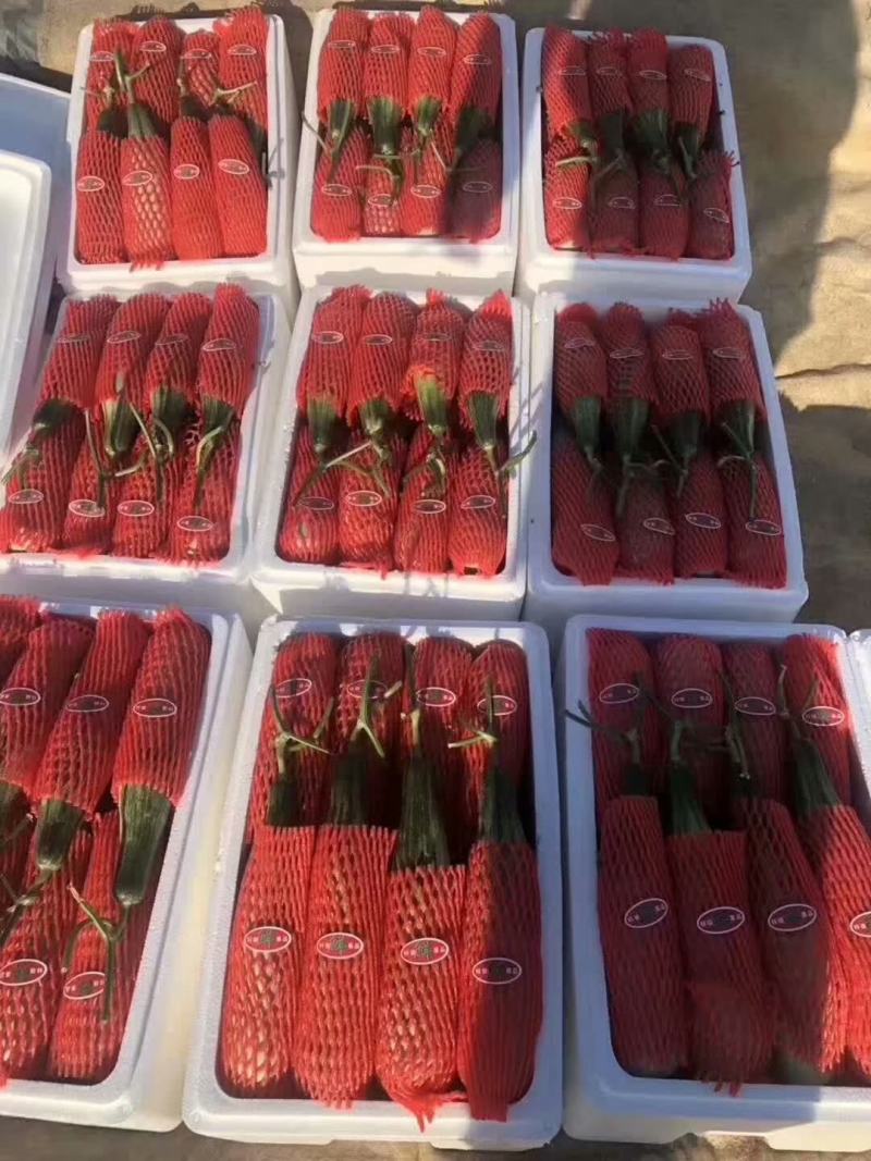 羊角蜜甜瓜，新鲜采摘，产地直供，专供市场，超市，电商，