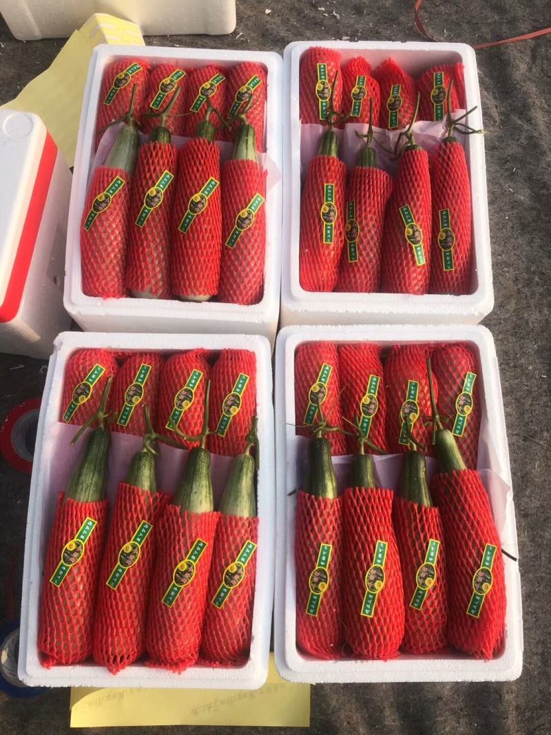 羊角蜜甜瓜，新鲜采摘，产地直供，专供市场，超市，电商，