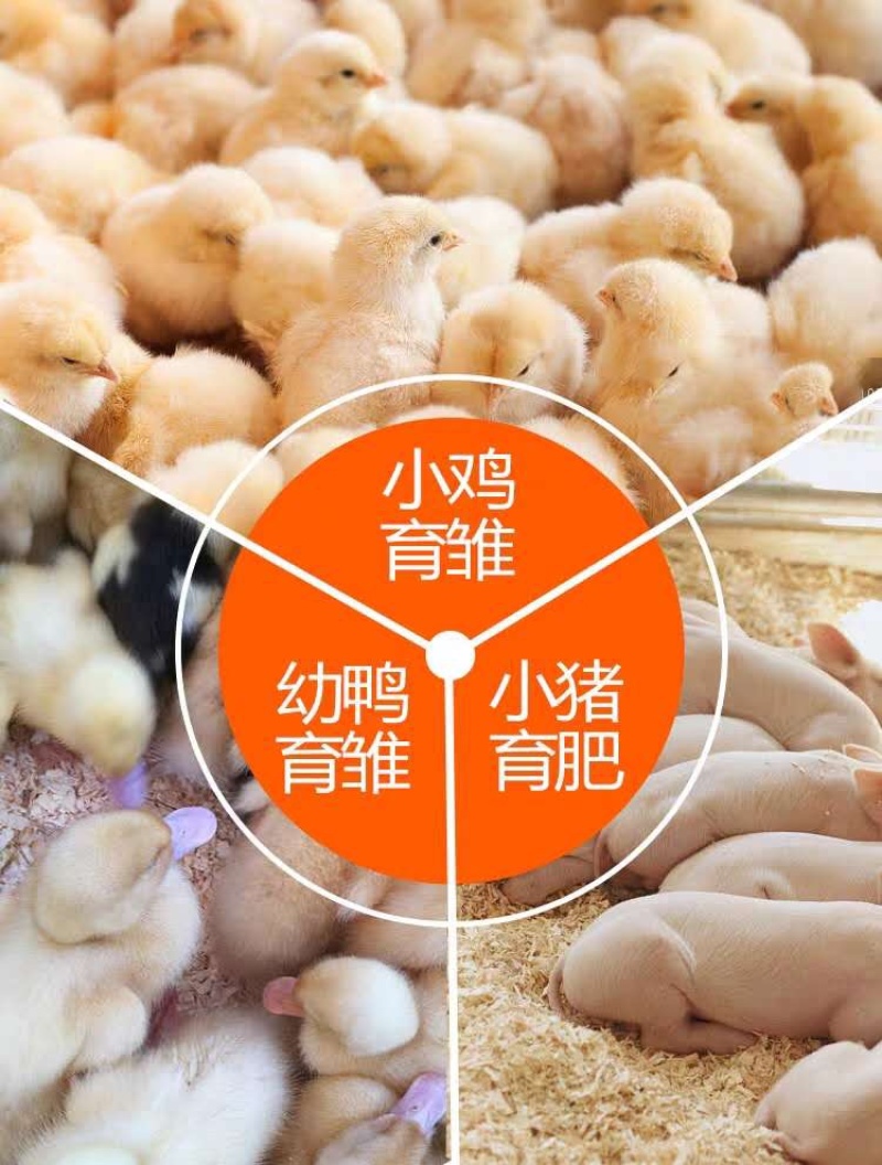 大功率电暖风机养殖育雏工厂车间用取暖器热风炉
