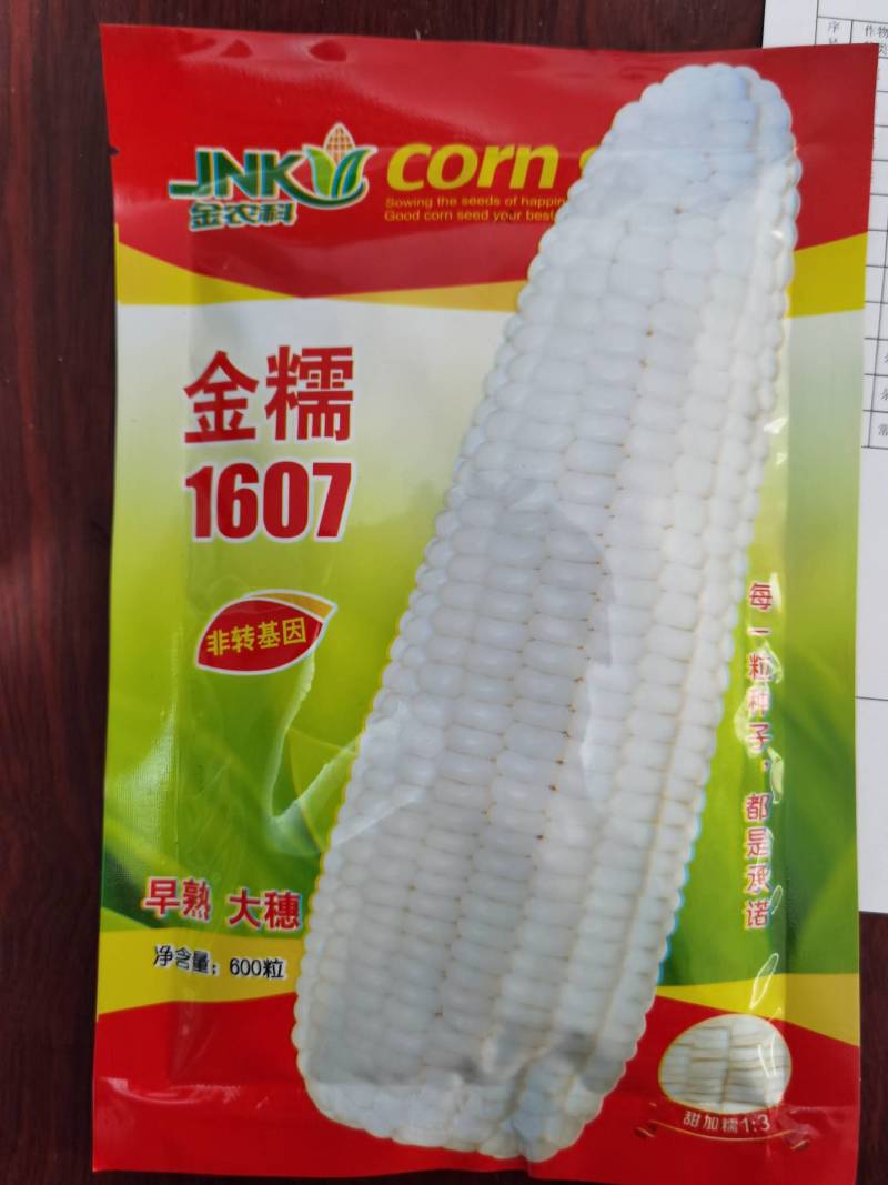 金糯1607糯玉米种子早熟大棒甜加糯玉米种子