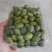 大量甜橄榄，香橄榄等零售批发，自家果园直供，量大优惠