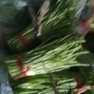 湖北省孝感市云梦县芦蒿专售