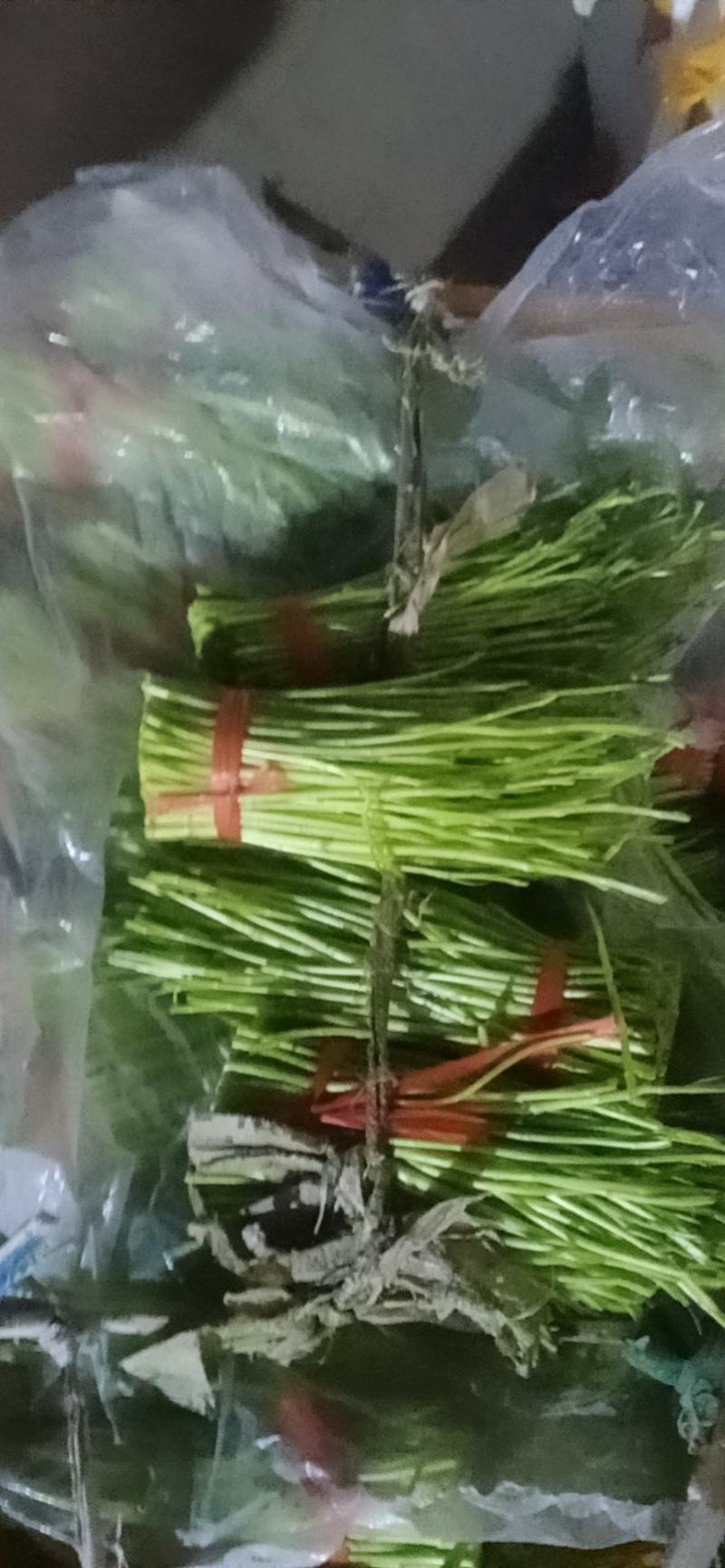 湖北省孝感市云梦县芦蒿专售