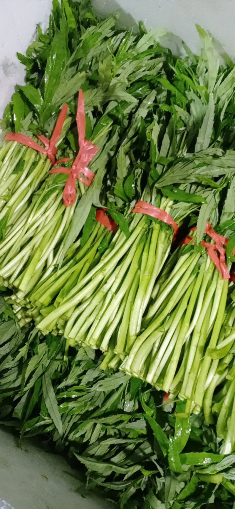 湖北省孝感市云梦县芦蒿专售