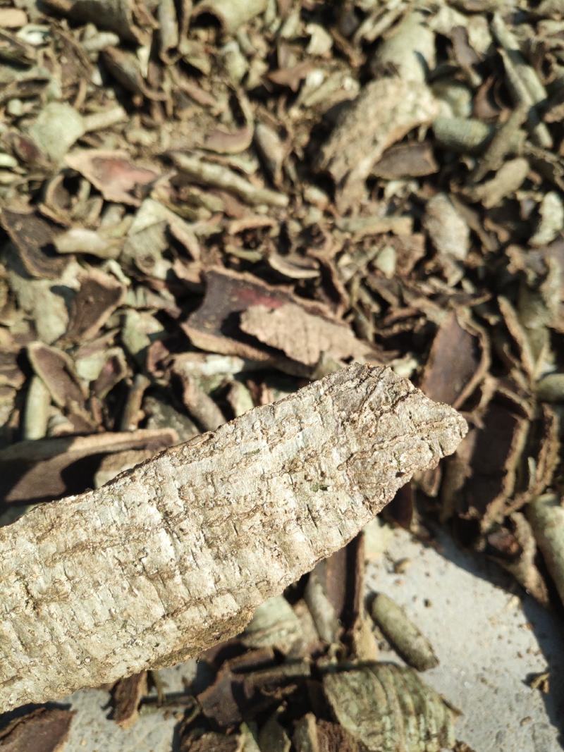 救必应凉茶原材料批发零售（产地直销有大货）