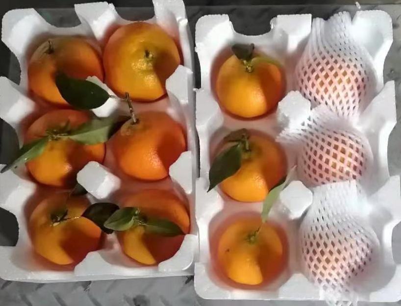 超市货架上的金秋砂糖橘包装盒,标注品牌名称和产地信息 金秋砂糖橘在超市货架上陈列销售