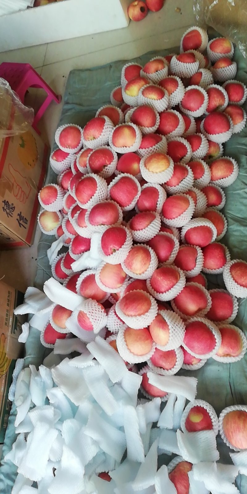 【精选】河北苹果，原产地发货一手货源，量大从优，可全国发货~