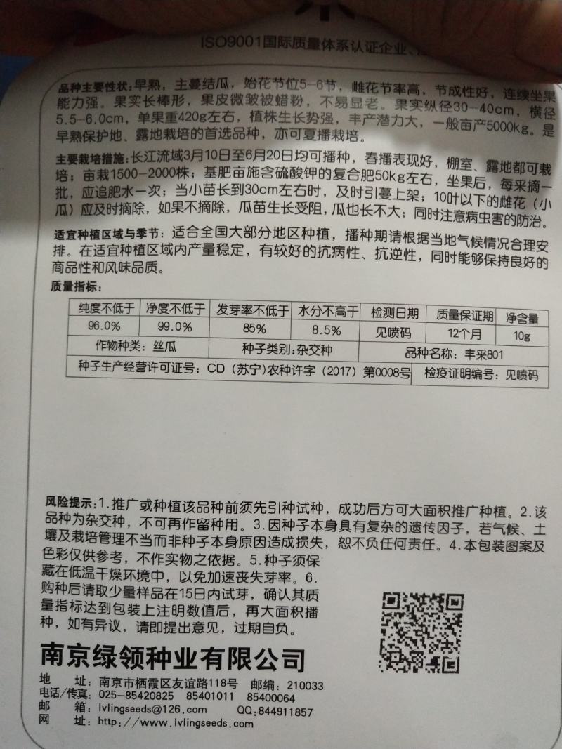 丝瓜苗，基地直供【物美价廉，量大从优，免费提供技术指导】