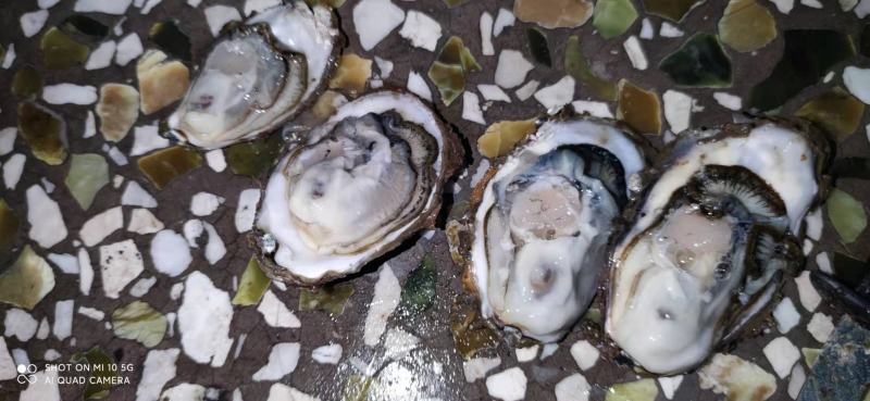 1-3通货清洗净化好无泥杂