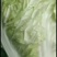 【精品】开封大白菜支持视频看货诚信经营欢迎选购