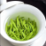 茶树苗茶叶苗乌牛早茶龙井中茶108舒茶早
