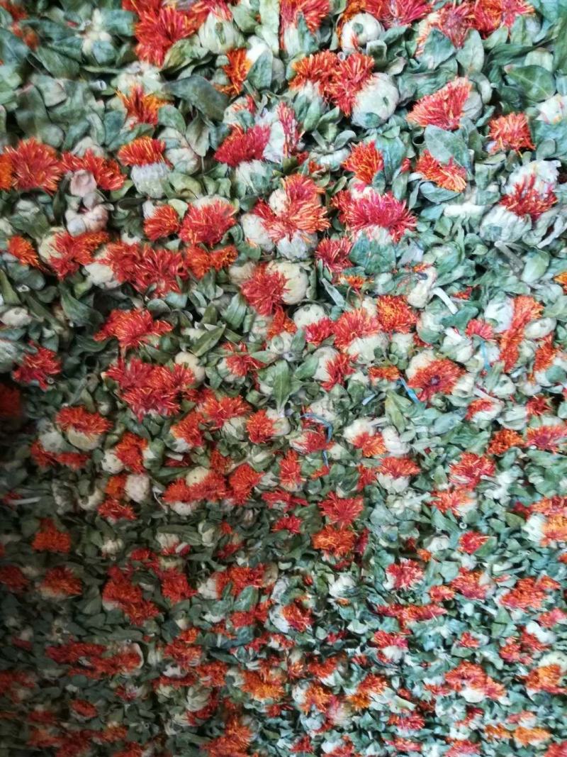 红花果，花红叶绿，产地直销，大量批发