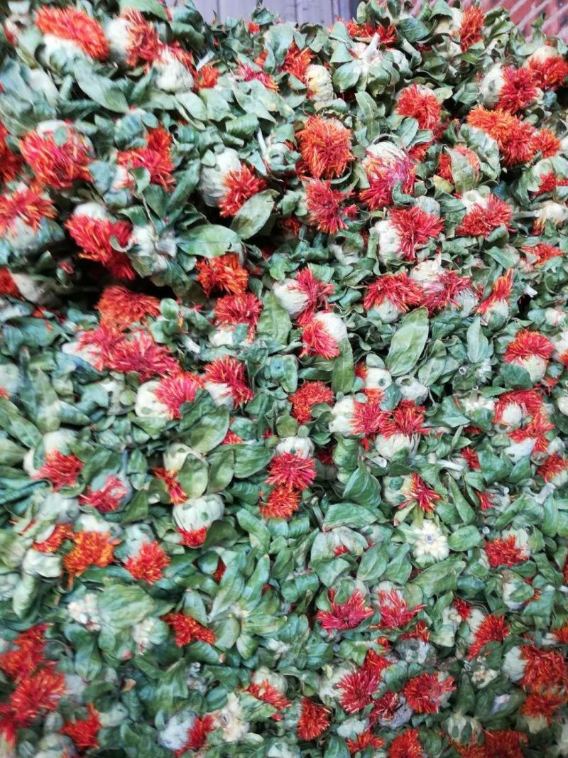 红花果，花红叶绿，产地直销，大量批发