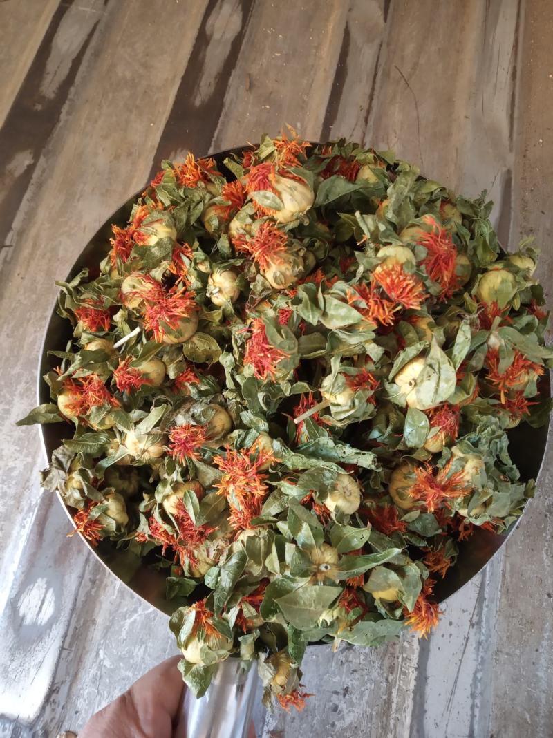 红花果，花红叶绿，产地直销，大量批发