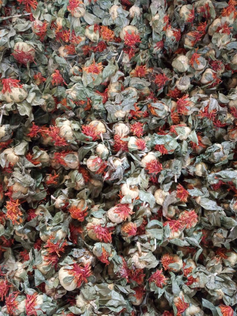 红花果，花红叶绿，产地直销，大量批发