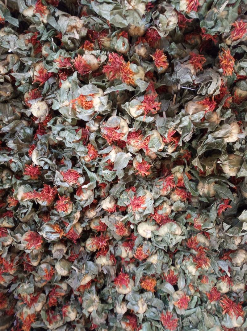 红花果，花红叶绿，产地直销，大量批发