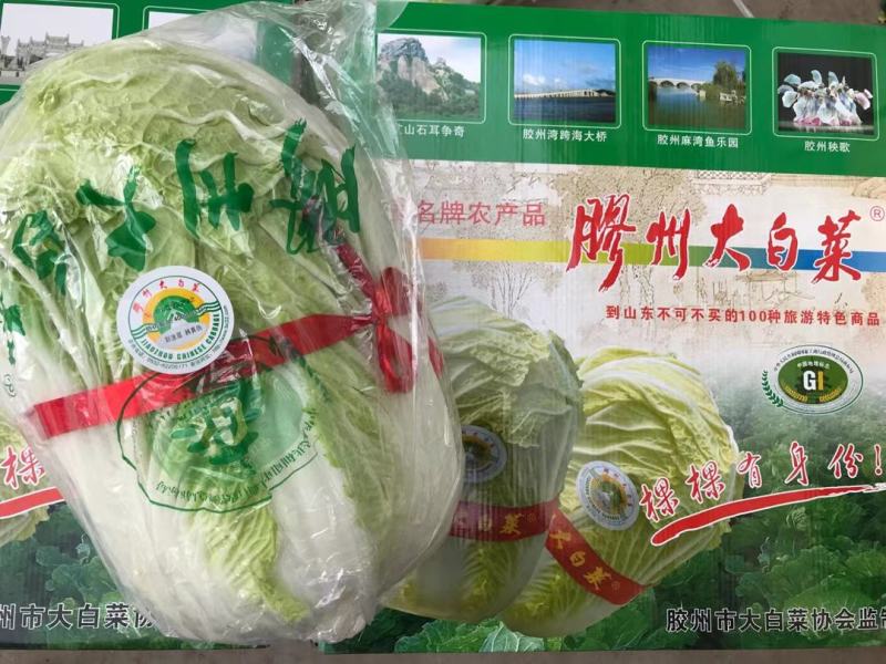 胶州大白菜礼盒大量供应