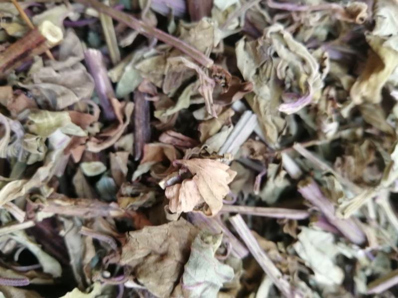 【精选】猫须草，猫须公，肾茶，新货无硫，量大从优