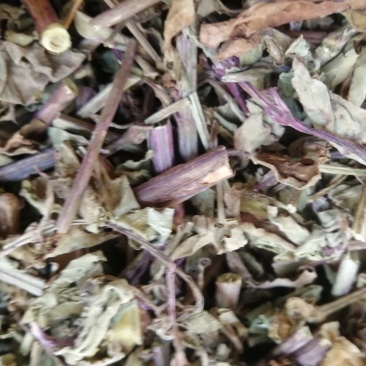 【精选】猫须草，猫须公，肾茶，新货无硫，量大从优