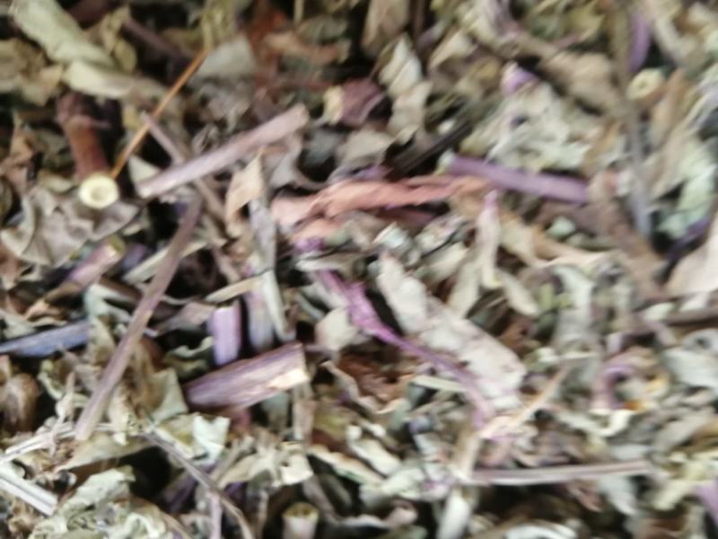 【精选】猫须草，猫须公，肾茶，新货无硫，量大从优