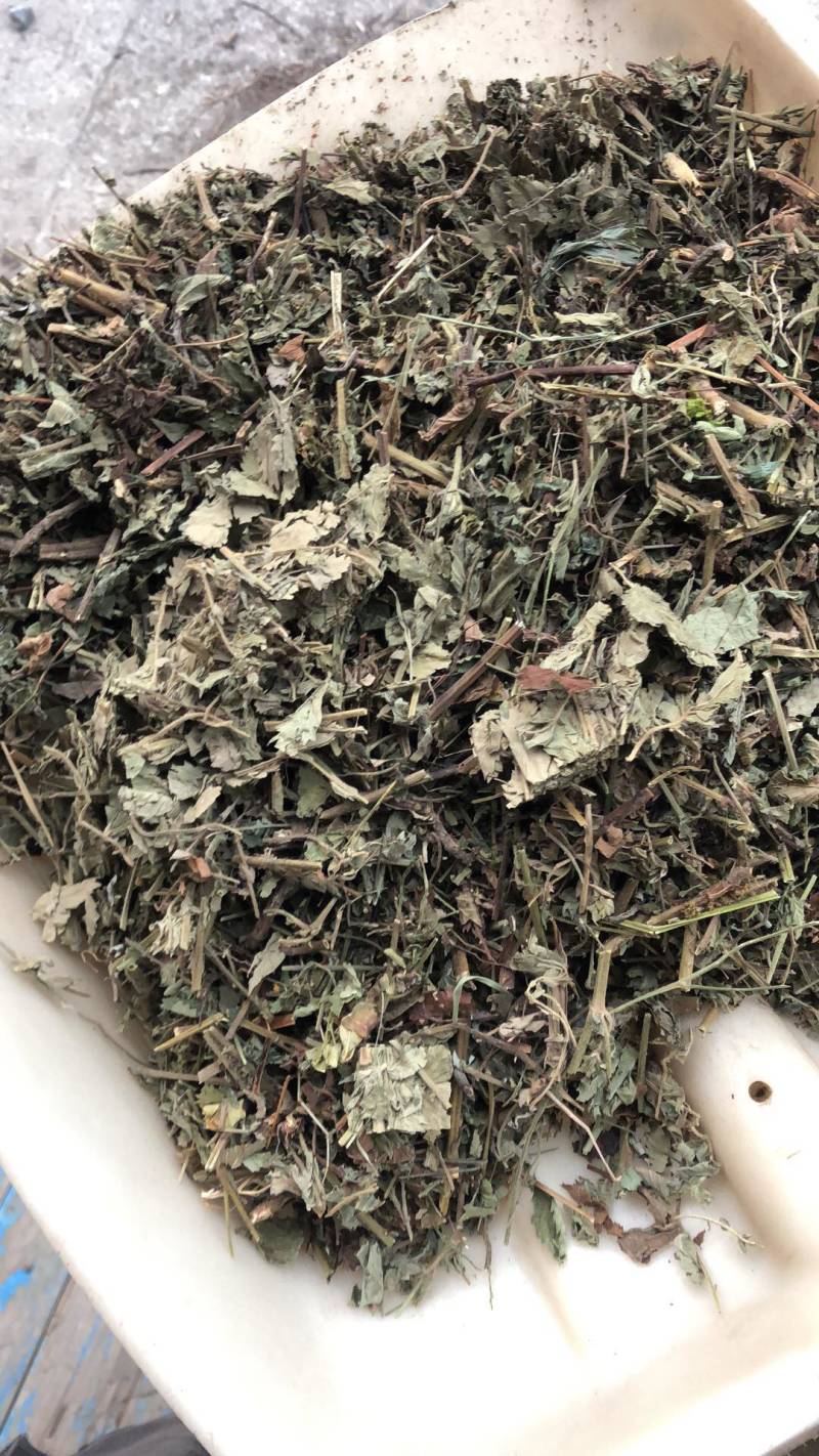中药材仙鹤草野生无根仙学草中草药条子