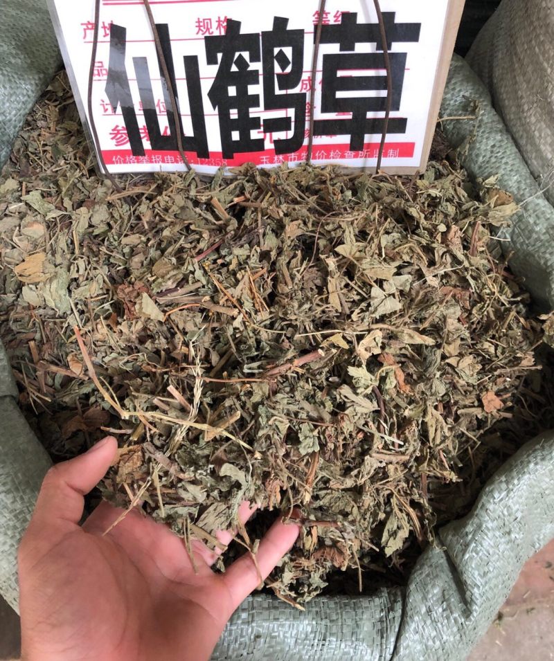 中药材仙鹤草野生无根仙学草中草药条子