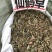 中药材仙鹤草野生无根仙学草中草药条子