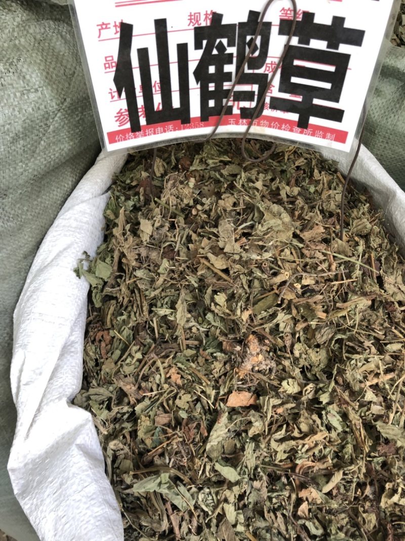中药材仙鹤草野生无根仙学草中草药条子