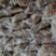 红薯粉条禹州传统手粉条，厂家现货供应，三证齐全质量有保证