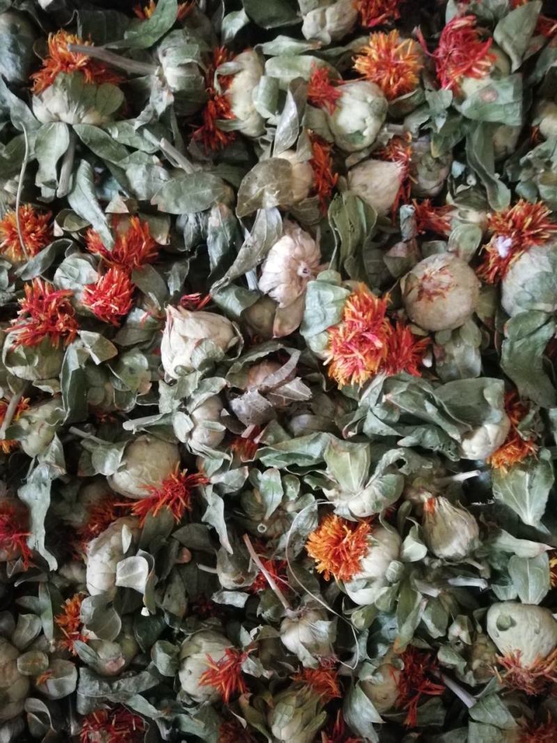 【精品】红花果花多叶绿，大量批发