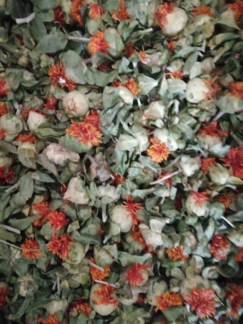 【精品】红花果花多叶绿，大量批发