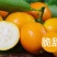 批发【脆皮金桔】金桔礼盒装发货新鲜品实惠价大量现货供应
